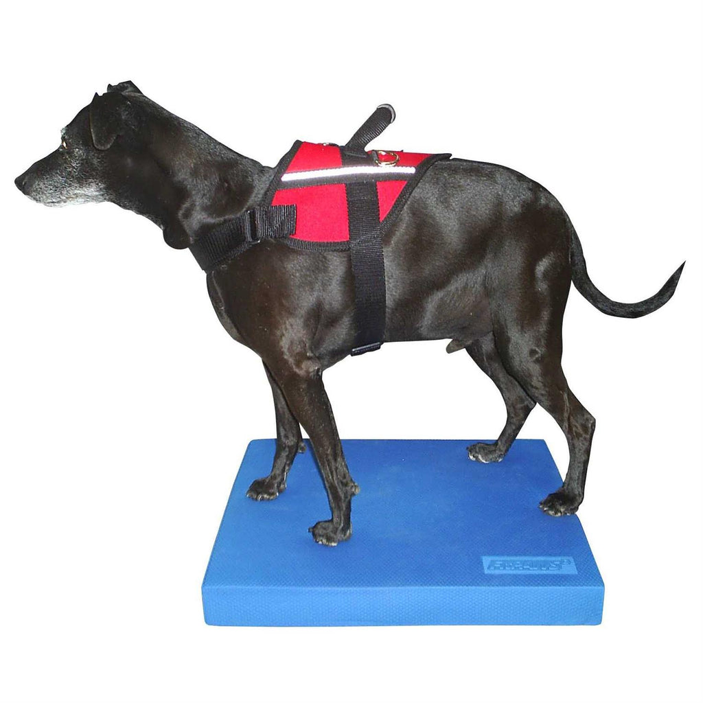 Balance Pad I244