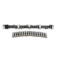Cam and Lifter Kit L45766