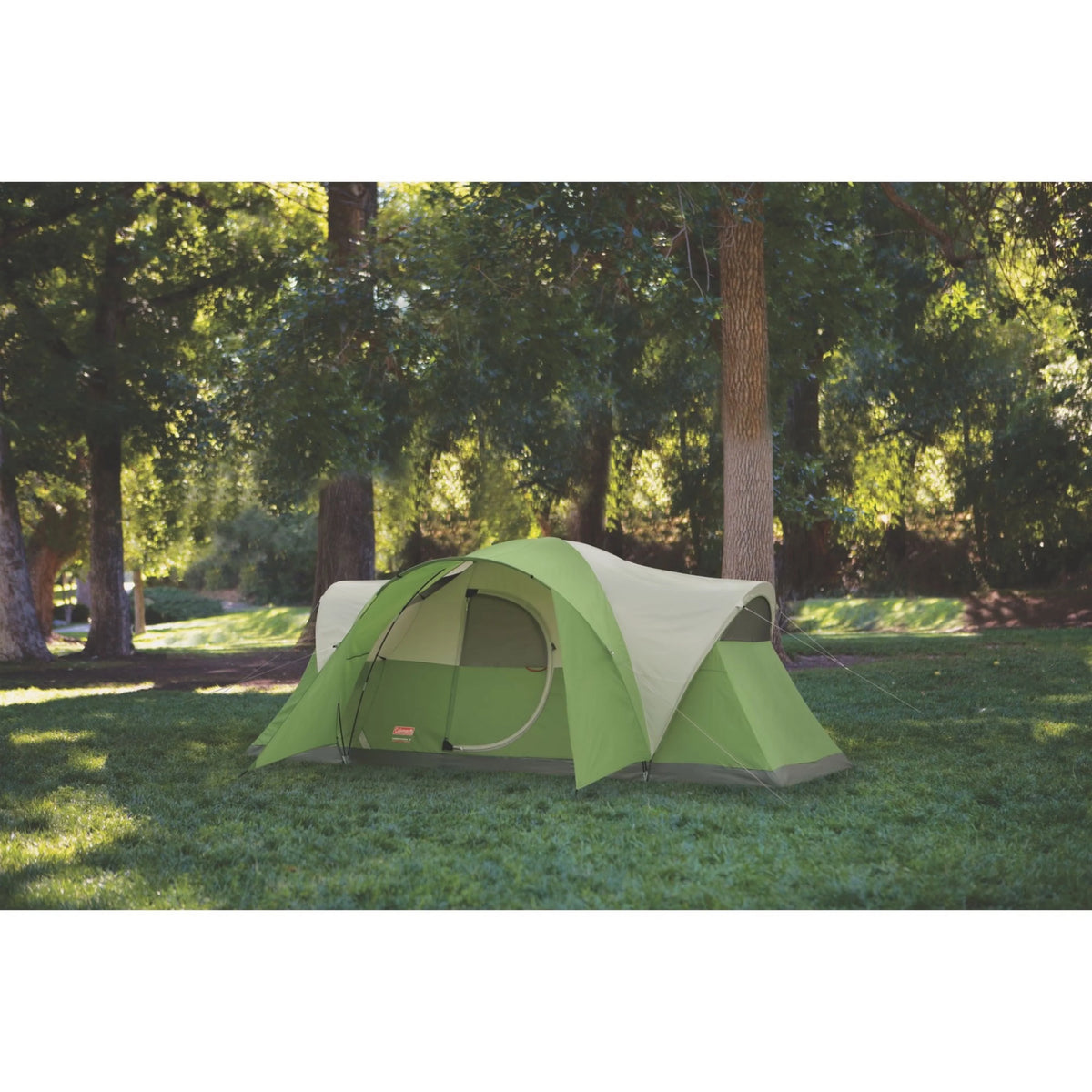 8-Person Dome Tent M448776