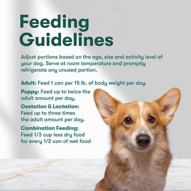 Grain-Free Sweet Potato Wet Dog Food M52500