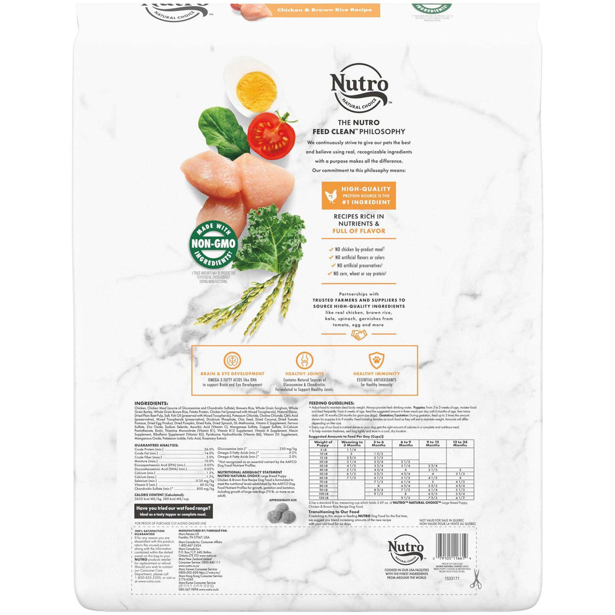 Chicken & Brown Rice Large Breed Puppy Dry Dog Food P254377