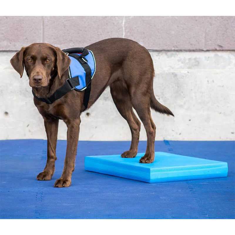 Balance Pad I244