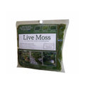 1.25sqft Live Moss Pack G6207