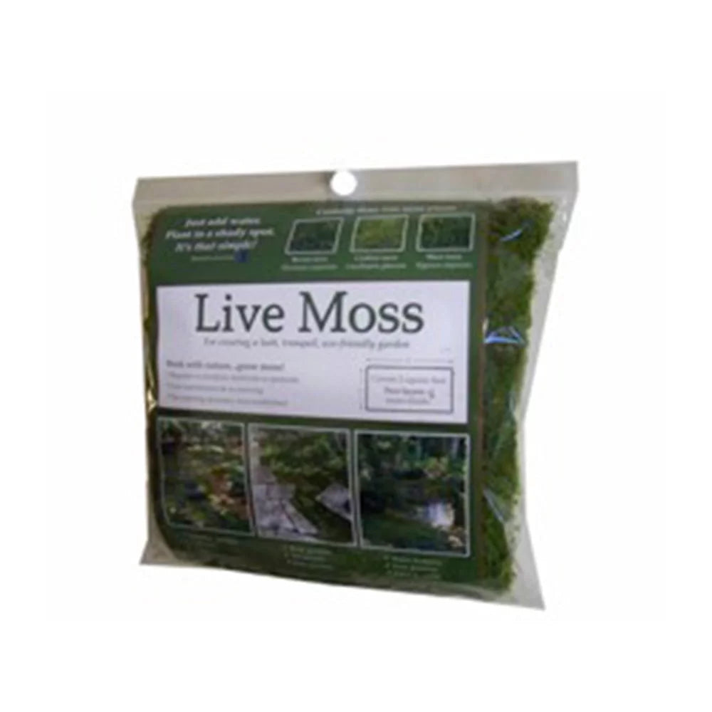 1.25sqft Live Moss Pack G6207