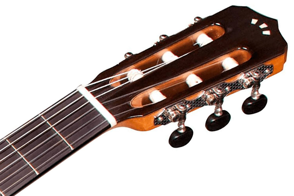 Rose Acoustic-Electric Classical Guitar M71271