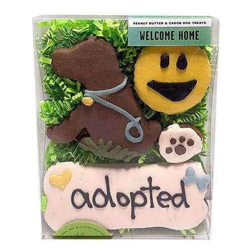 Birthday Girl Biscuit F682