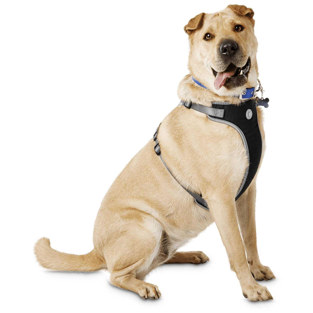 Black Large Dog Harness X68350