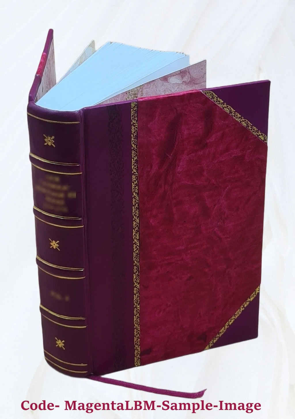 Leather Bound Book F996799