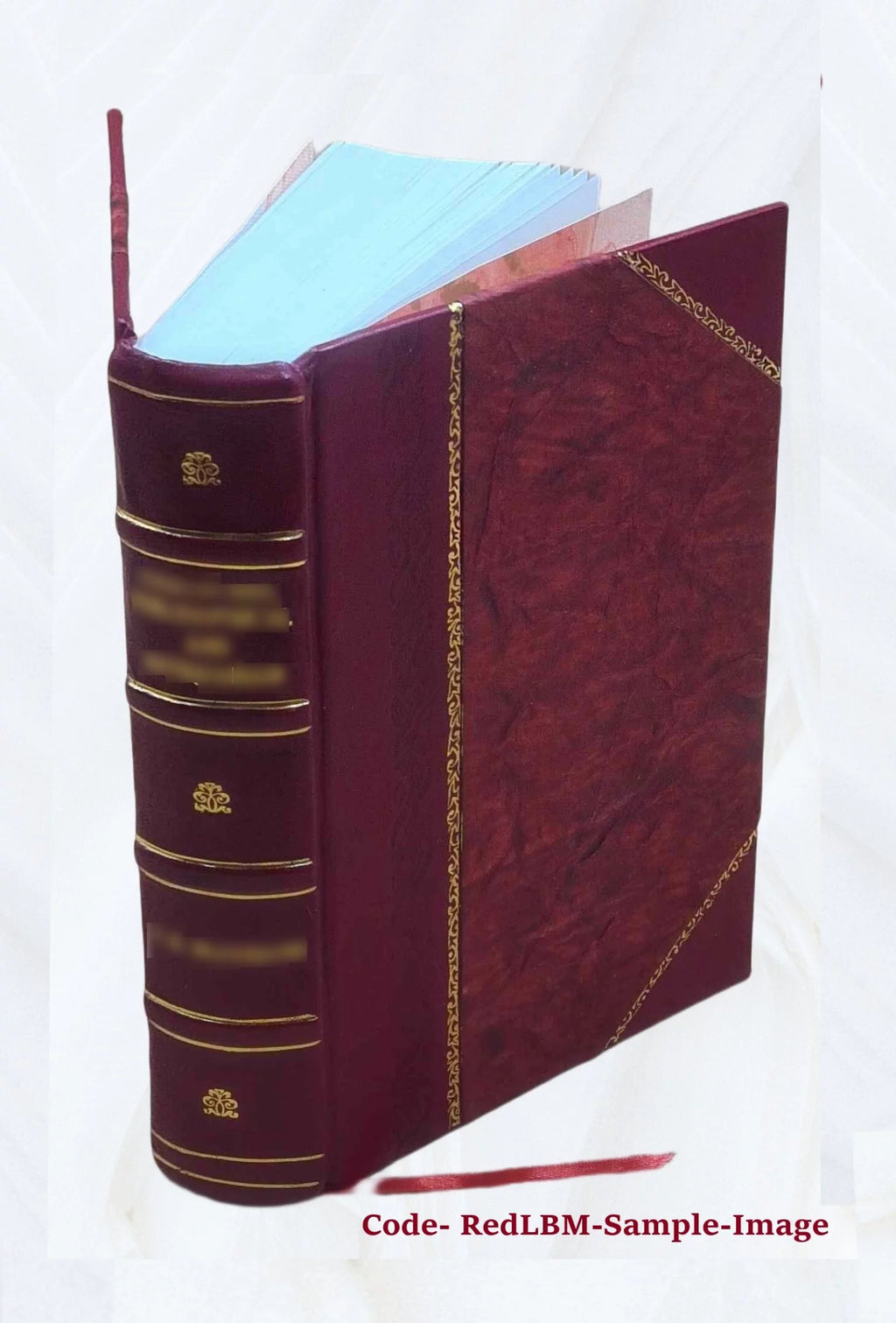 Leather Bound Book F996799