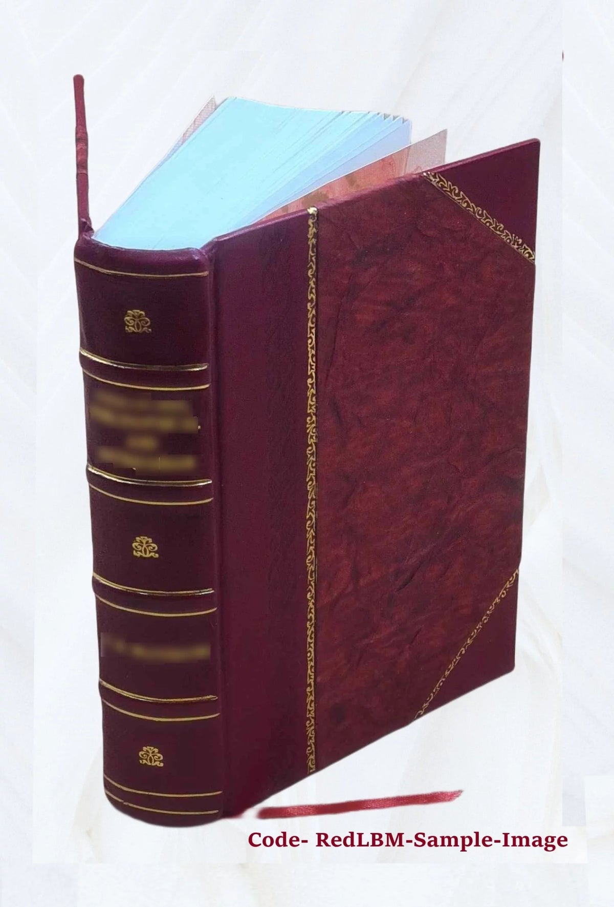Leather Bound Book F996799
