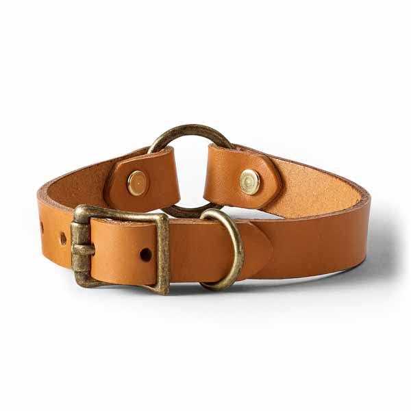 Leather Dog Collar V51072