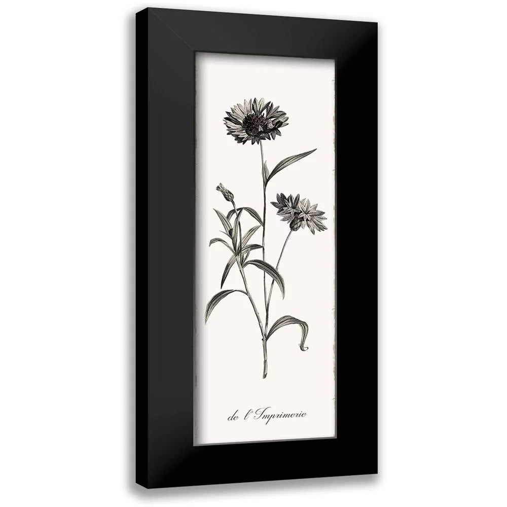 Black Modern Framed Art Print S96398