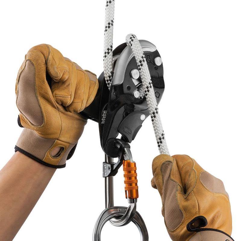 Black Descender M773809