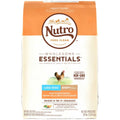 Chicken & Brown Rice Large Breed Puppy Dry Dog Food P254377