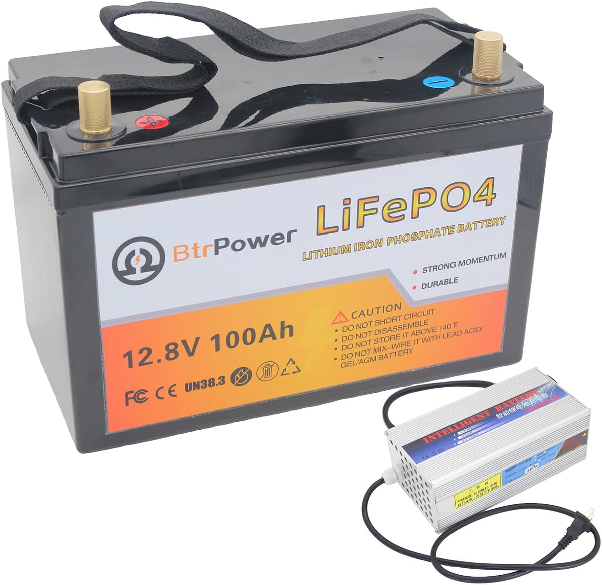 12V 100AH Lithium LiFePO4 Battery with Built-in 100A BMS P77569