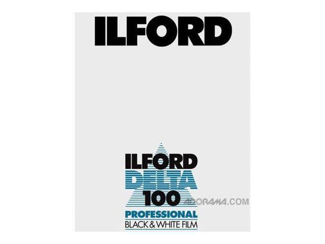 Black and White Film, ISO 100, 4x5x22, 100 Sheets W311