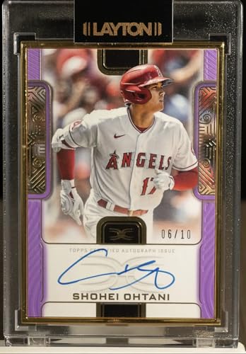 25 Cards Mystery Pack with Autograph Relic and 4 Rookie Cards E525288