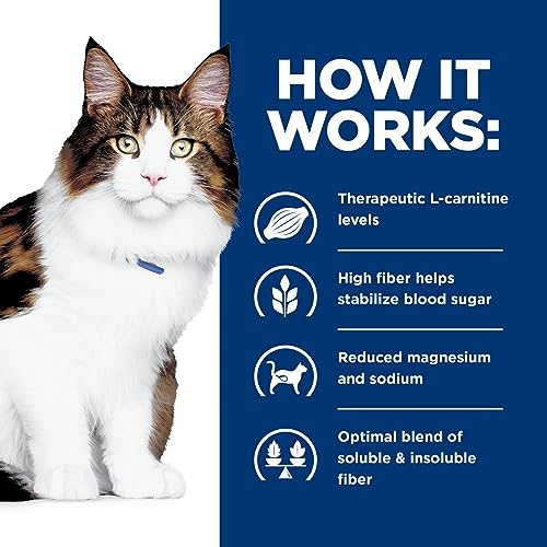 5.5 oz Wet Cat Food, 24-Pack Y513235