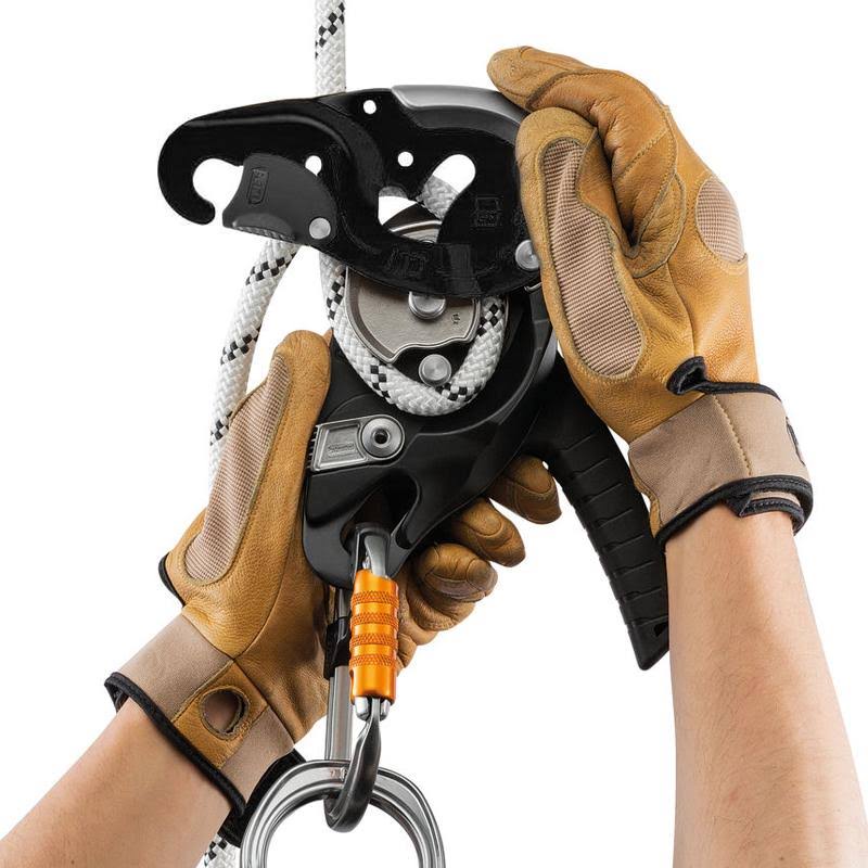 Black Descender M773809