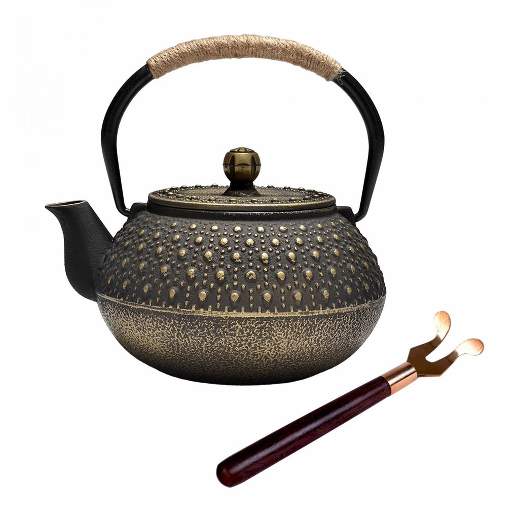 Cast Iron Teapot Tea Kettle Y6341