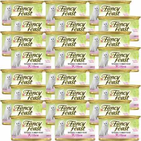 Canned Food H4577