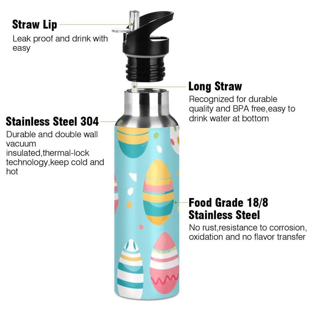 Insulated Stainless Steel Water Bottle with Straw Lid 20 oz E9757