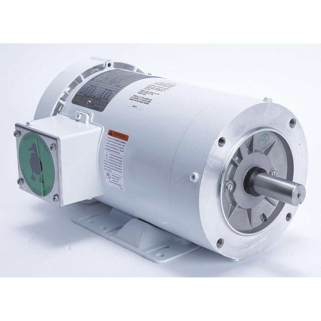 Washdown Motor V769944