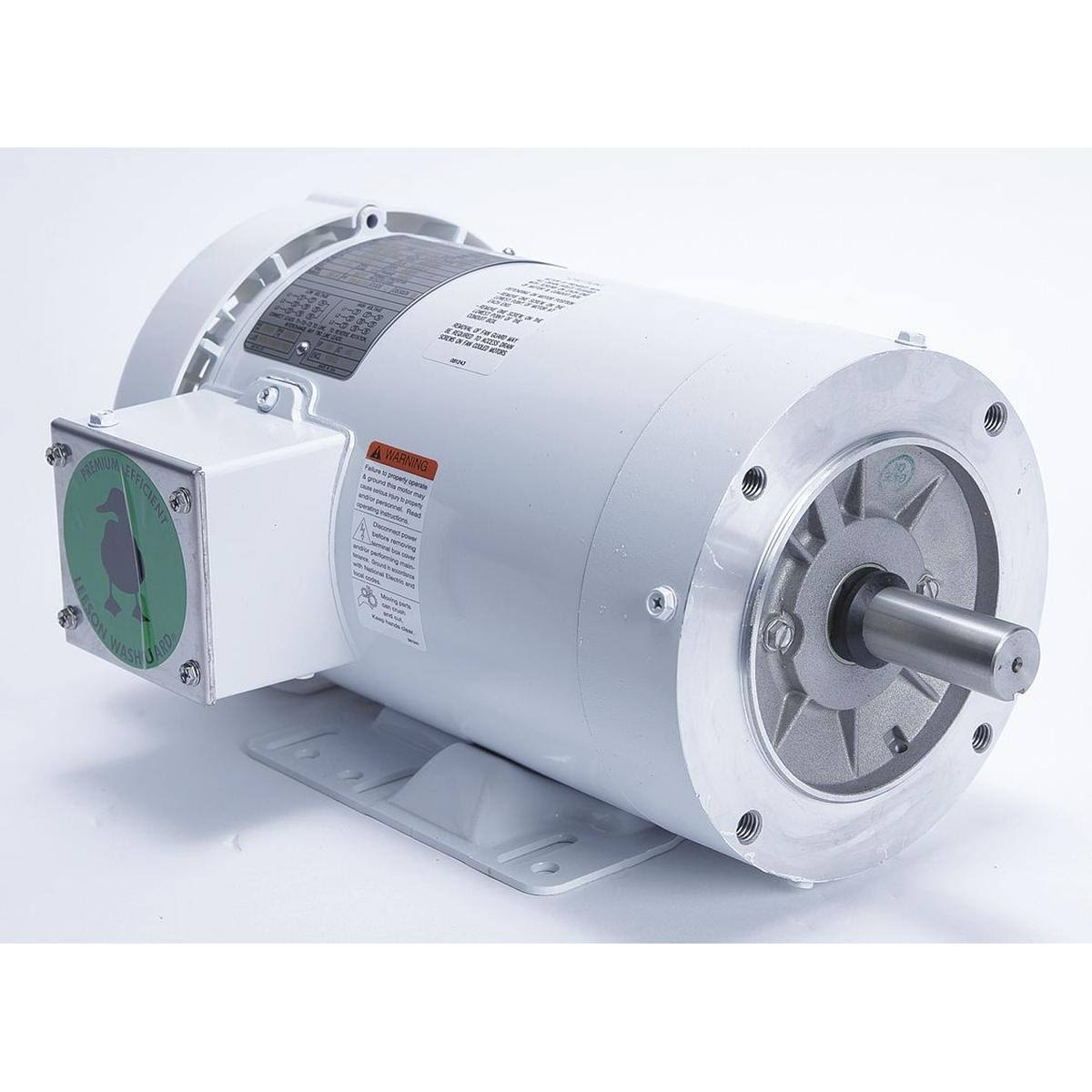 Washdown Motor V769944