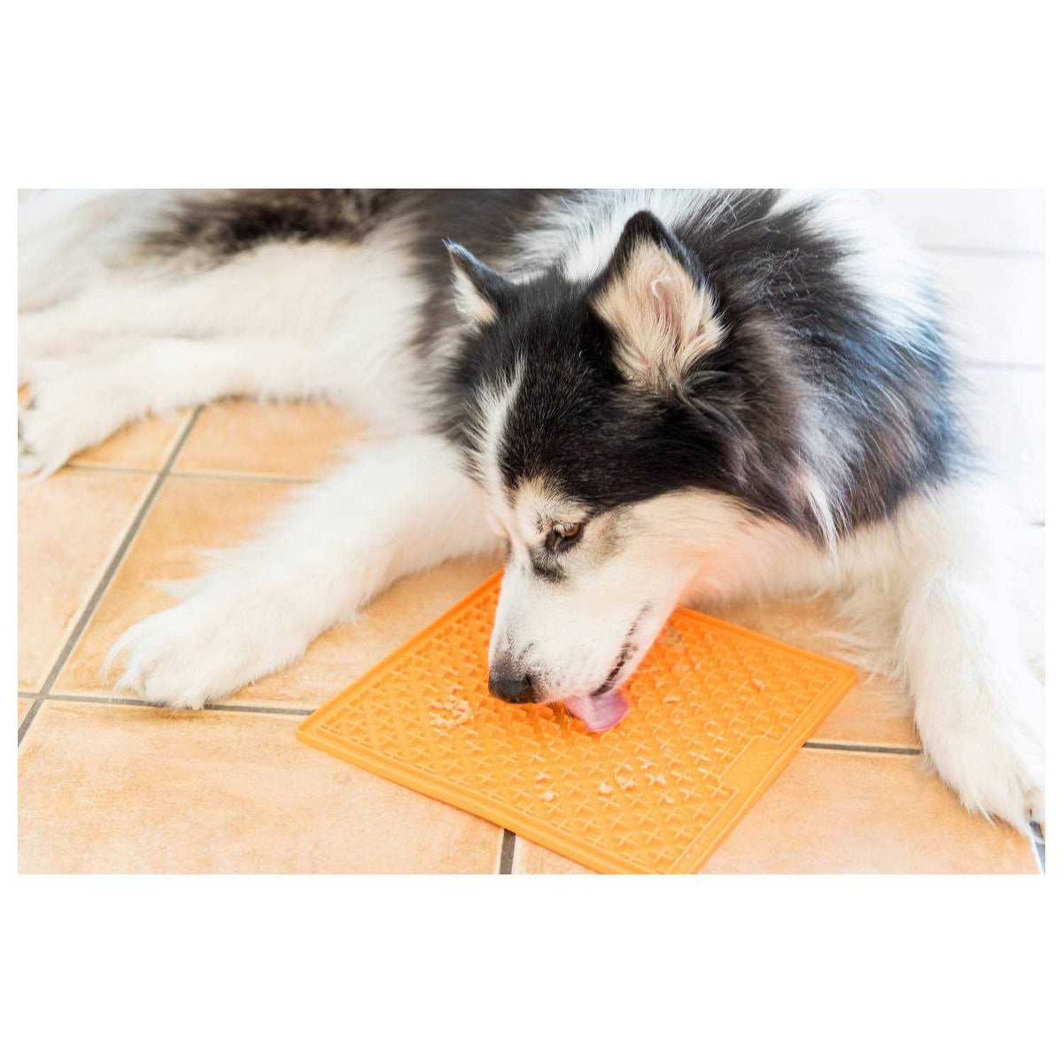 LickiMat Buddy A670346