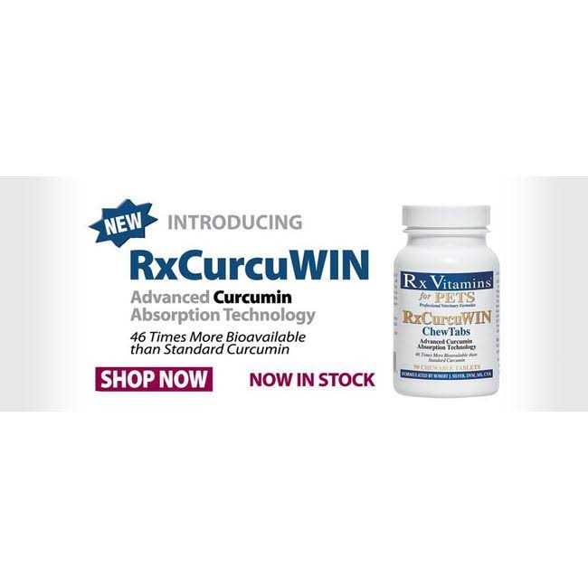 Curcumin for Dogs & Cats T93215