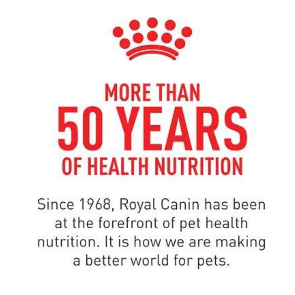 Low Fat Canned Dog Food D12616