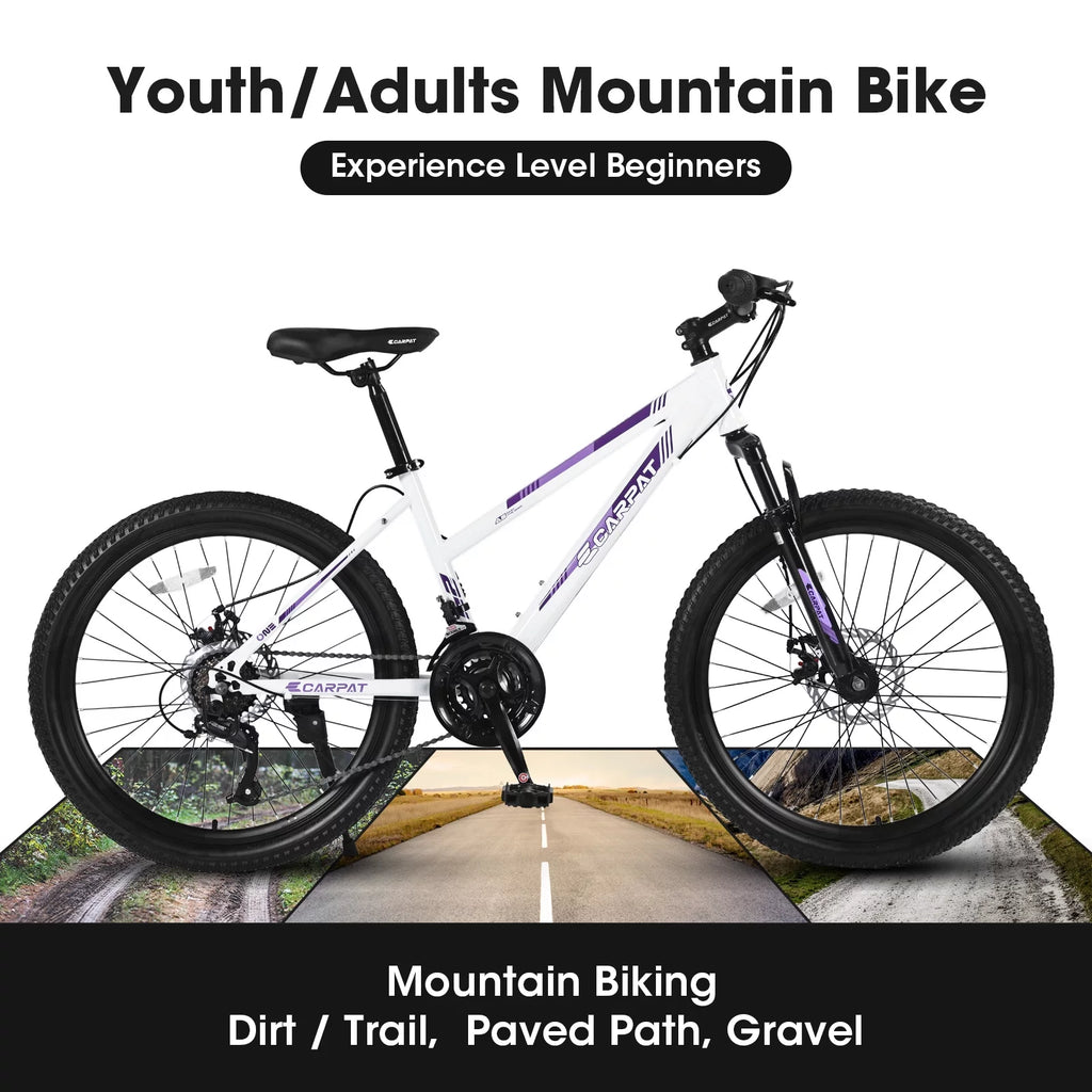 26-inch 21 Speed Pink Mountain Bike X71528