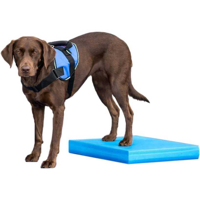 Balance Pad I244