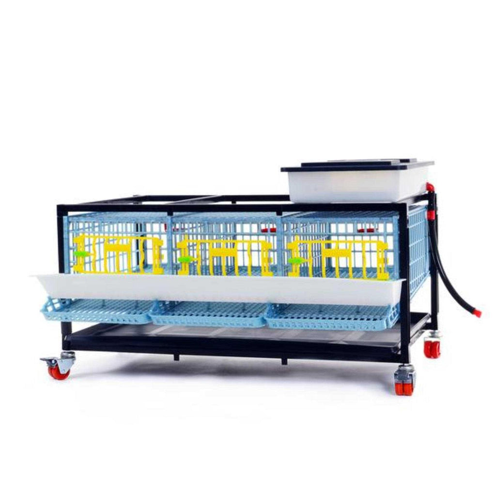 Partridge Cage 1 Layer G747877