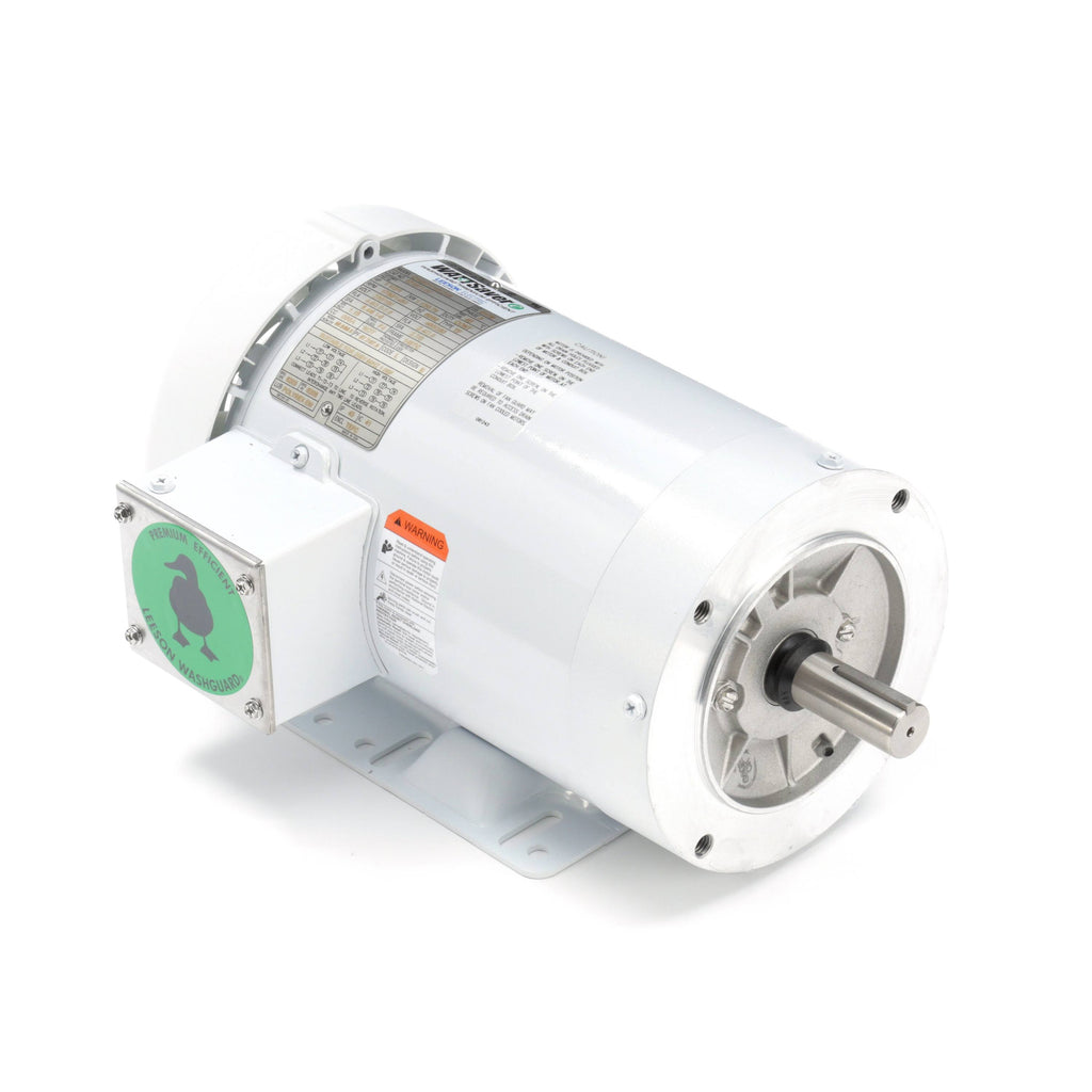 Washdown Motor V769944