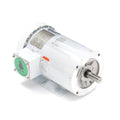 Washdown Motor V769944