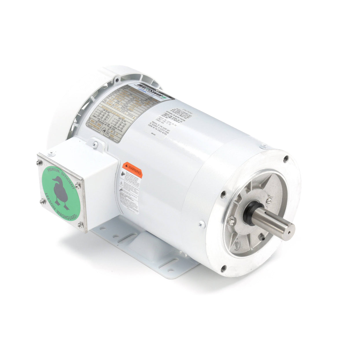 Washdown Motor V769944