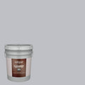 Exterior Paint (5-Gallon) A906872