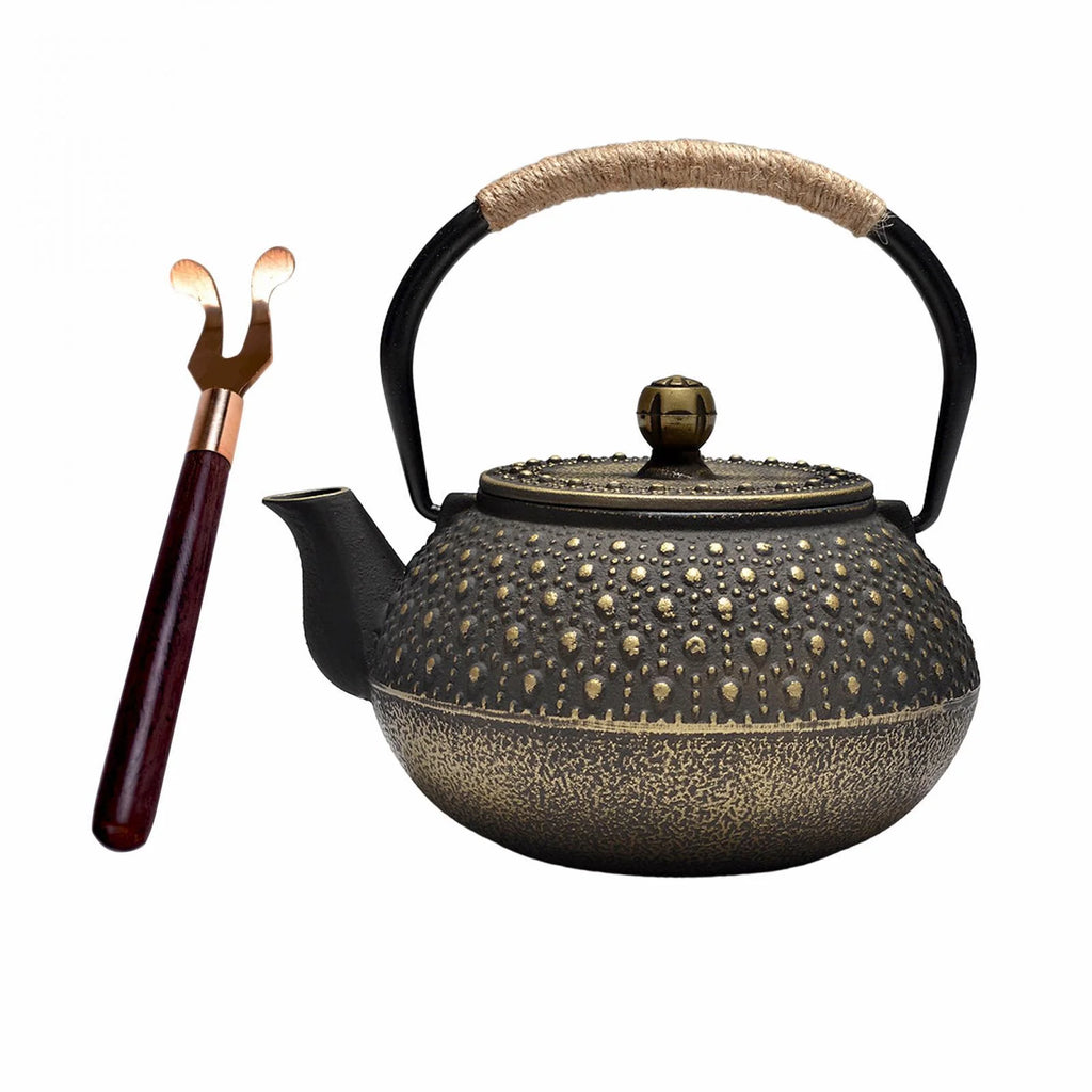 Cast Iron Teapot Tea Kettle Y6341