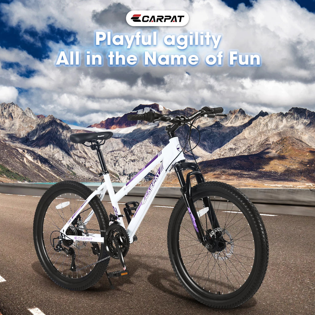 26-inch 21 Speed Pink Mountain Bike X71528