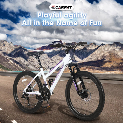 26-inch 21 Speed Pink Mountain Bike X71528