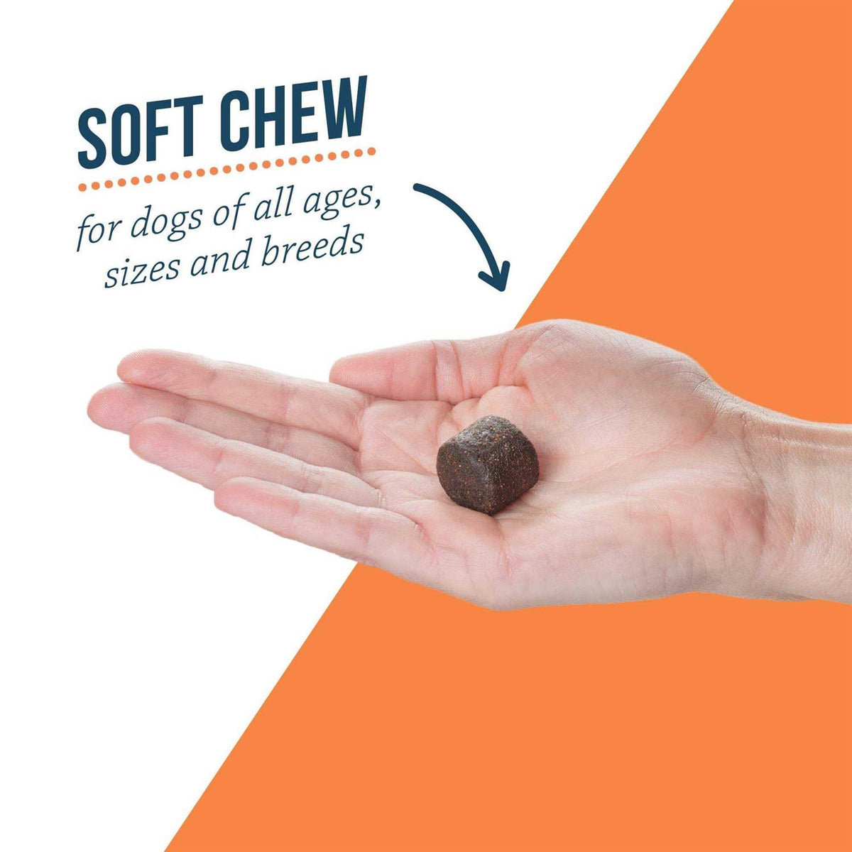 Joint Supplement Soft Chews for Dogs F5998