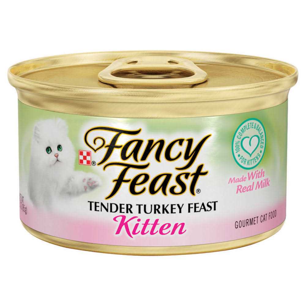 Canned Food H4577