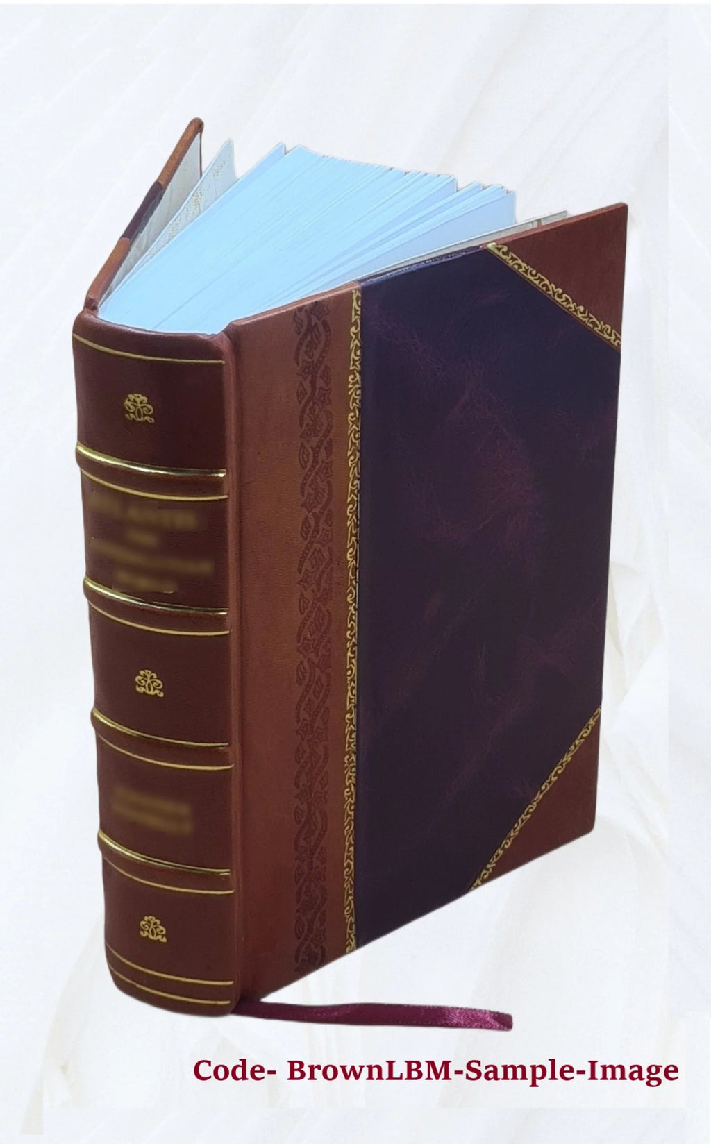 Leather Bound Book F996799