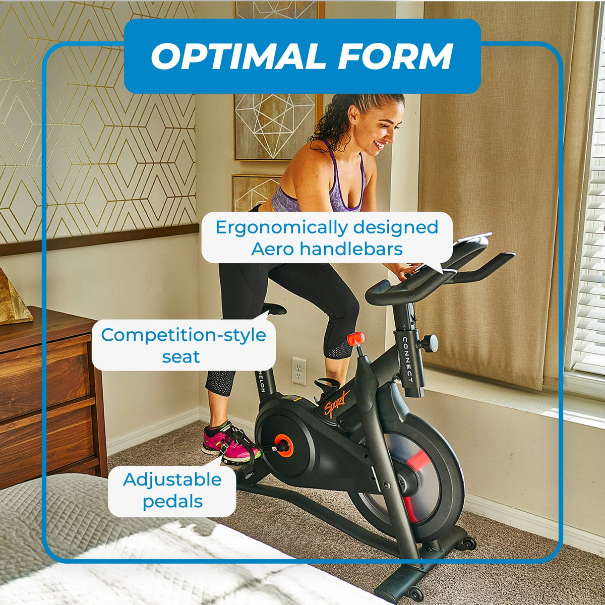 Indoor Cycling Exercise Bike Y83044