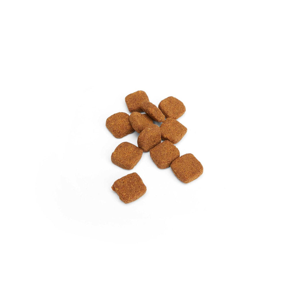 Cat Allergy Soft Chews A833
