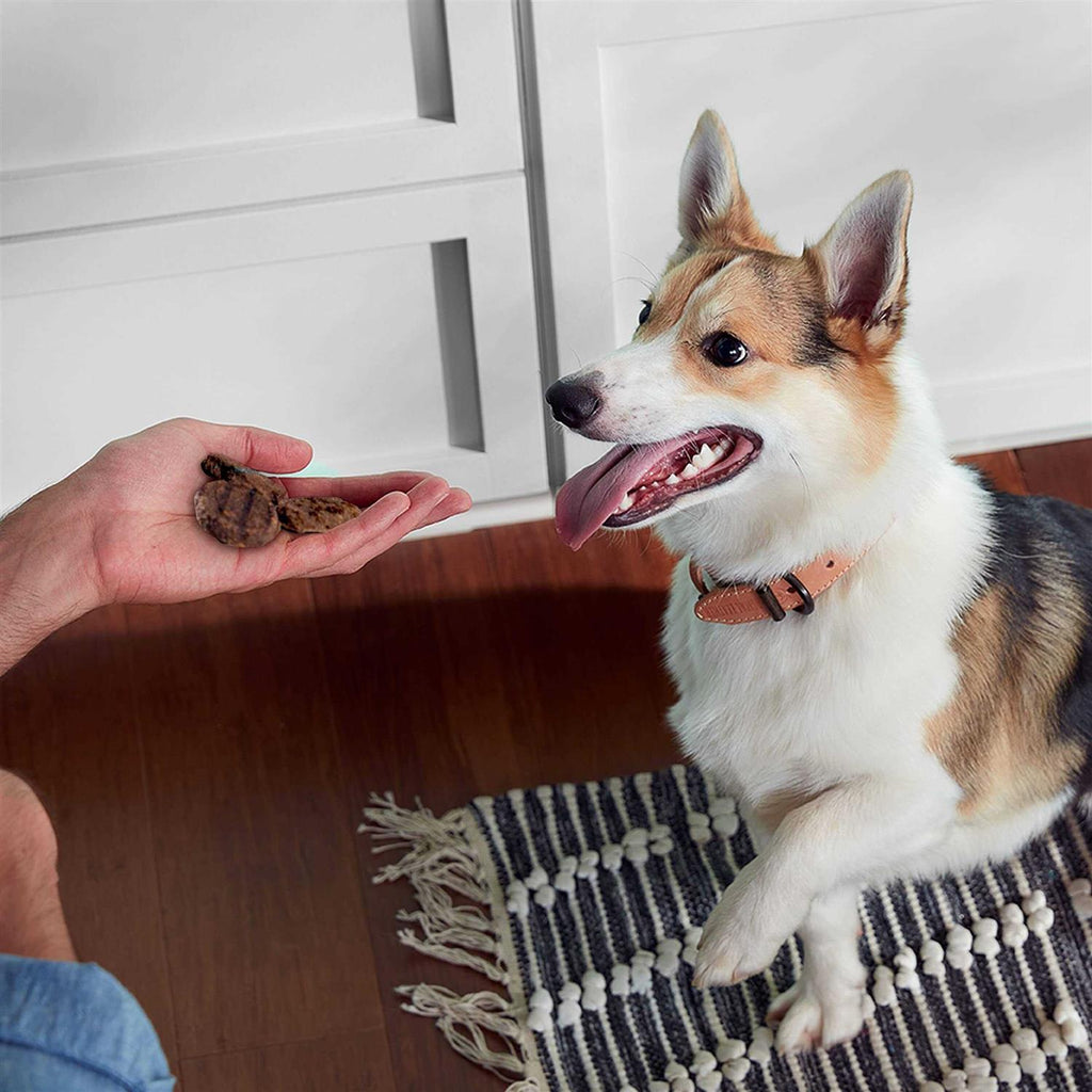 Dog Treats C45326