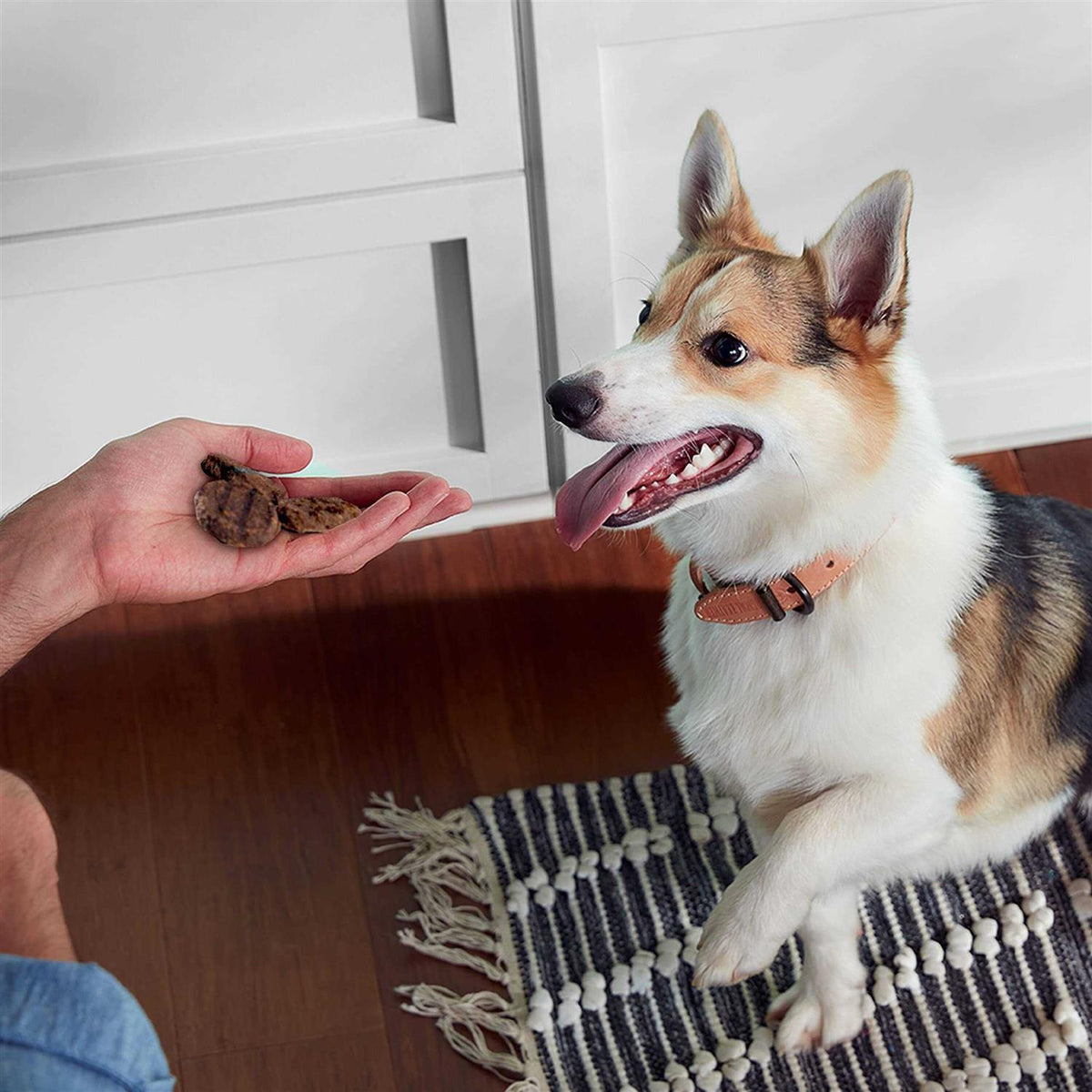Dog Treats C45326