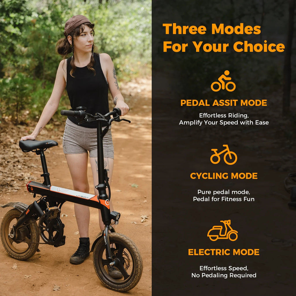 350W Folding Electric Bike with 270Wh Battery S5821