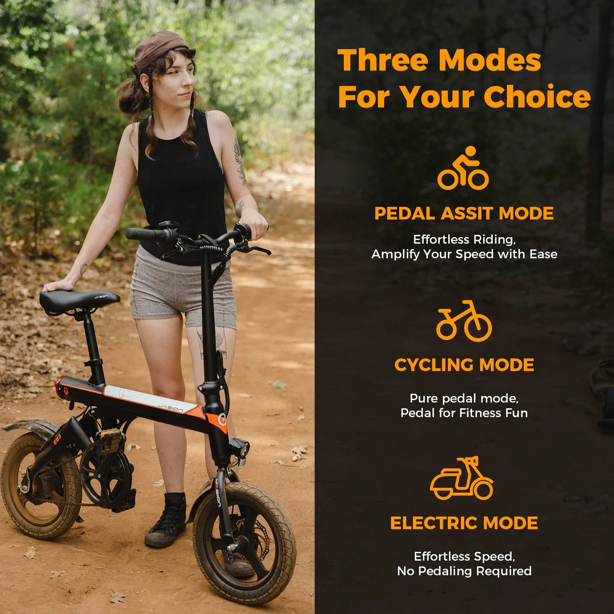 350W Folding Electric Bike with 270Wh Battery S5821